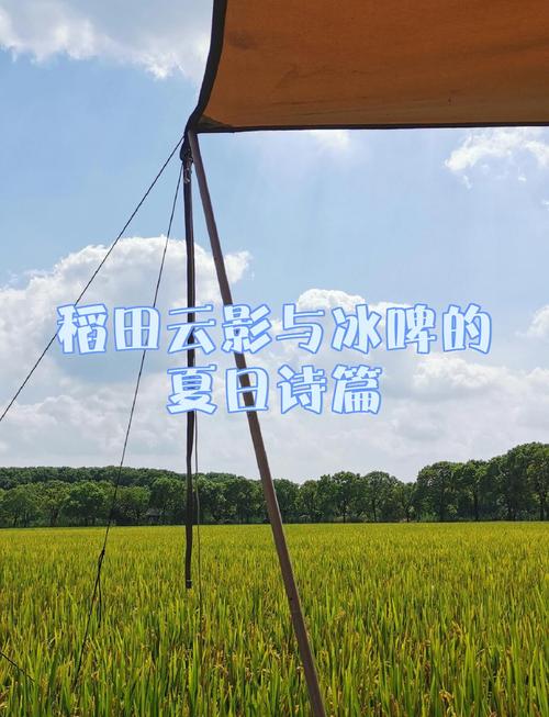 稻田云影与冰啤的夏日诗篇